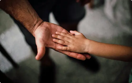 representacion vision de basa